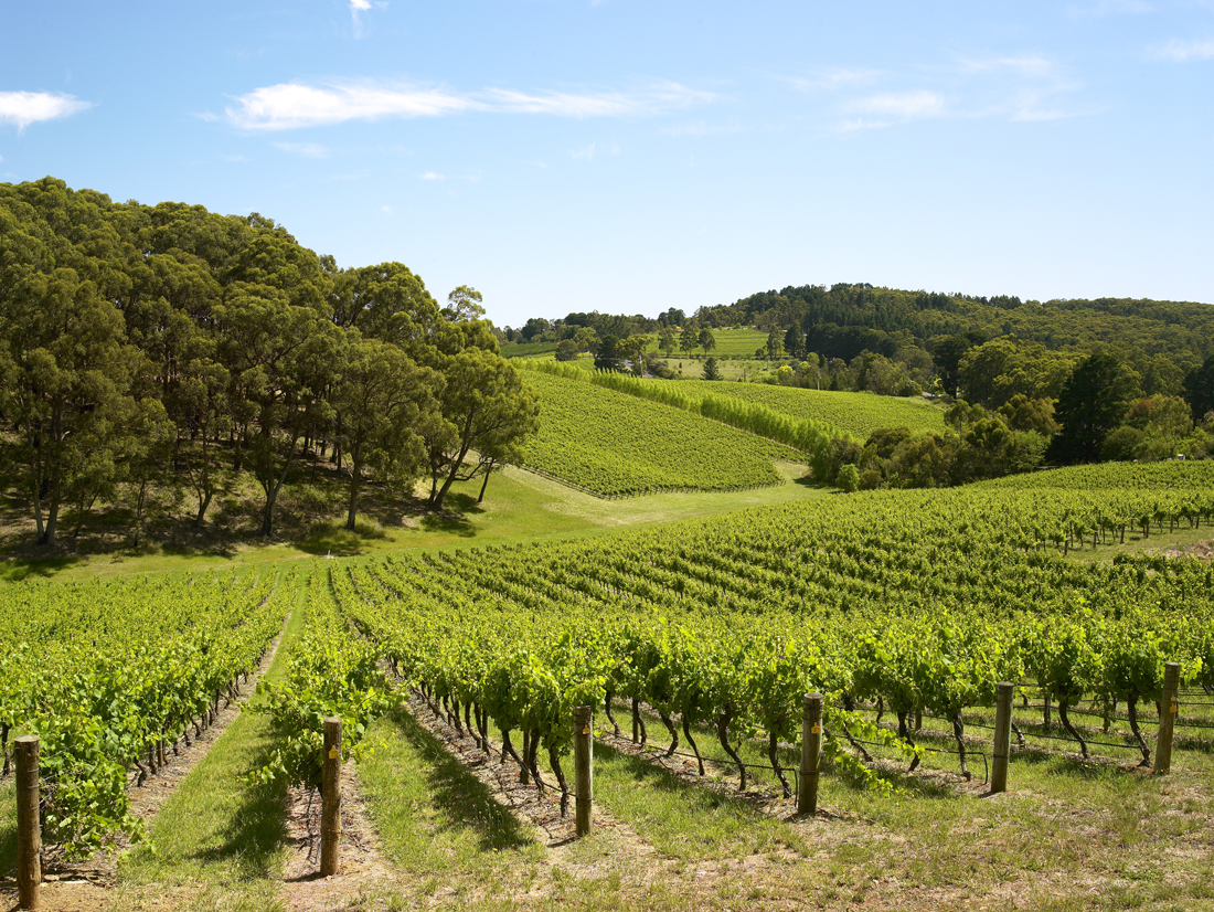 The top drink spots in Adelaide Hills